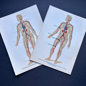 c. 1903 ACCIDENTS & EMERGENCIES lithographs - medical anatomy - original antique prints - dog bite - poisonous reptile - bleeding - set of 2