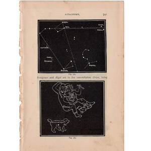 1882 GEMINI ZODIAC Druck Canis kleine Tierkreis Konstellation Figuren Drucken - original antike himmlische Astronomie Lithographie - auriga