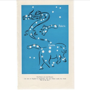 impresión vintage c.1961 - impresión CONSTELLATION - POLARIS & URSA - impresión de astronomía vintage - gráfico de estrellas - impresión celestial - Osos y el dragón