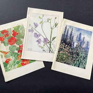 c.1907 FLOWERS FOR BEES lithographs • set of 3 original antique prints • bee keeping • honey • apian print • bee hive • pollen gathering