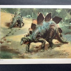 c. 1960 PREHISTORIC LANDSCAPE lithograph • original vintage print • extinct animals • dinosaur scene • Paleo Art • STEGOSAURUS