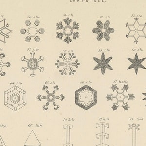 May include: A black and white illustration of various snowflake crystal shapes. The image is labeled with numbers and letters.