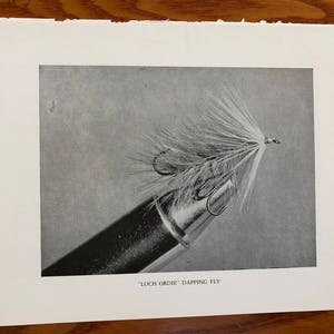 May include: A black and white photo of a "Loch Ordie" dapping fly. The fly is tied with white feathers and has a silver hook.