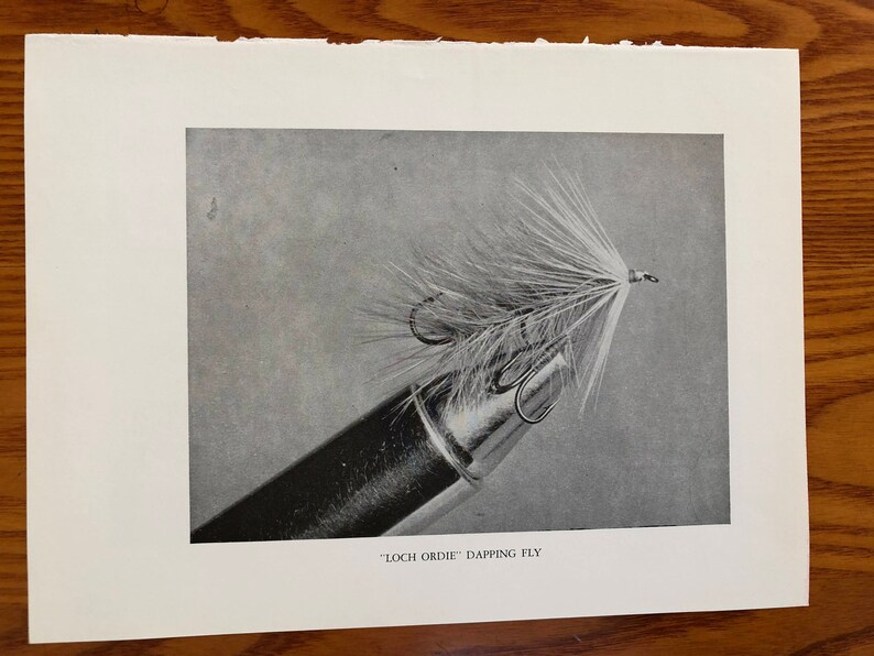 May include: A black and white photo of a "Loch Ordie" dapping fly. The fly is tied with white feathers and has a silver hook.