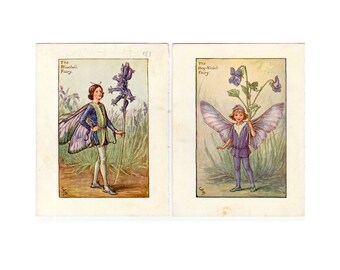 c. 1935 FLOWER FAIRY lithographs • set of 2 original vintage prints • botanical print • flower garden print • bluebell & dog-violet flowers