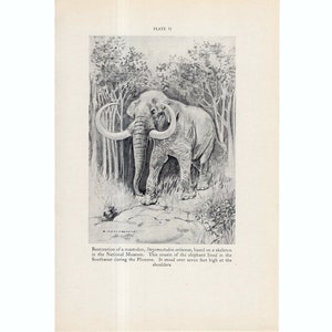 c. 1934 PREHISTORIC ANIMAL lithograph - original vintage print  - Mastodon print - xtinct animal print - Smithsonian Museum - dinosaur