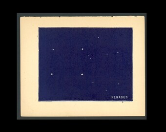 tiny! c. 1900 PEGASUS FLYING HORSE lithograph • original antique print • astronomy print • star map • blue celestial • constellation print