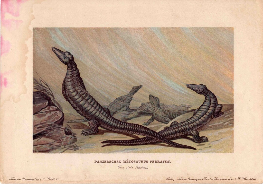 C. 1902 DINOSAUR Lithograph - Aetosaurus Ferratus - Original Antique ...