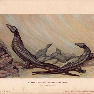 c. 1902 DINOSAUR lithograph - aetosaurus ferratus - original antique print - fossil reptiles - extinct animal print - prehistoric animal