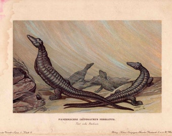 H. 1902 DINOSAURIER Lithographie - Aetosaurus ferratus - original antiker Druck - Fossile Reptilien - Ausgestorbener Tierdruck - prähistorisches Tier