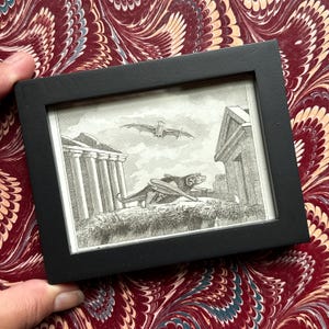 small c. 1831 FRAMED BAT engraving • original antique print • Halloween decor • bat print • vampire print • easel backed & ready to display!