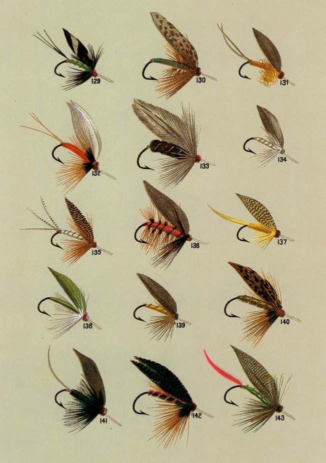 C. 1988 TROUT FLIES Lithograph Original Vintage Print Fly Fishing Print  Orvis Print Fly Tying Print With Trout Flies on Reverse 