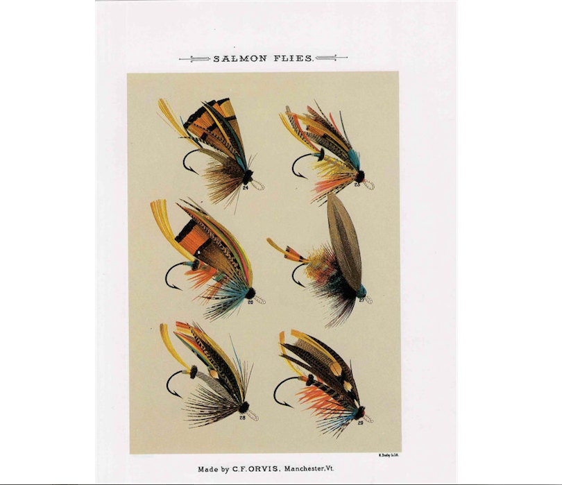 C. 1988 SALMON FLIES Lithograph Original Vintage Print Fly Fishing