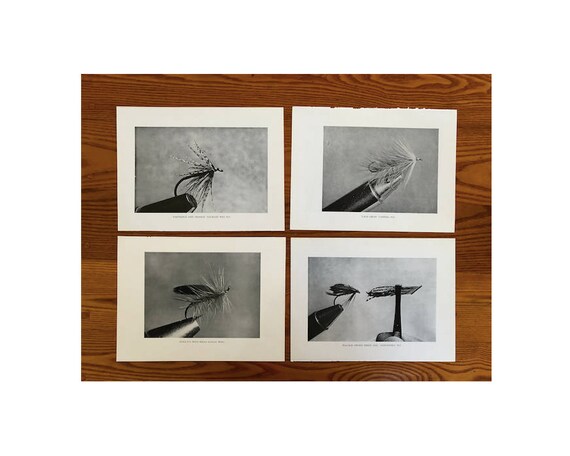 c. 1970 FLY TYING lithographs - set of 4 original vintage prints • fly fishing - angling prints - hand tied flies - sport fishing prints