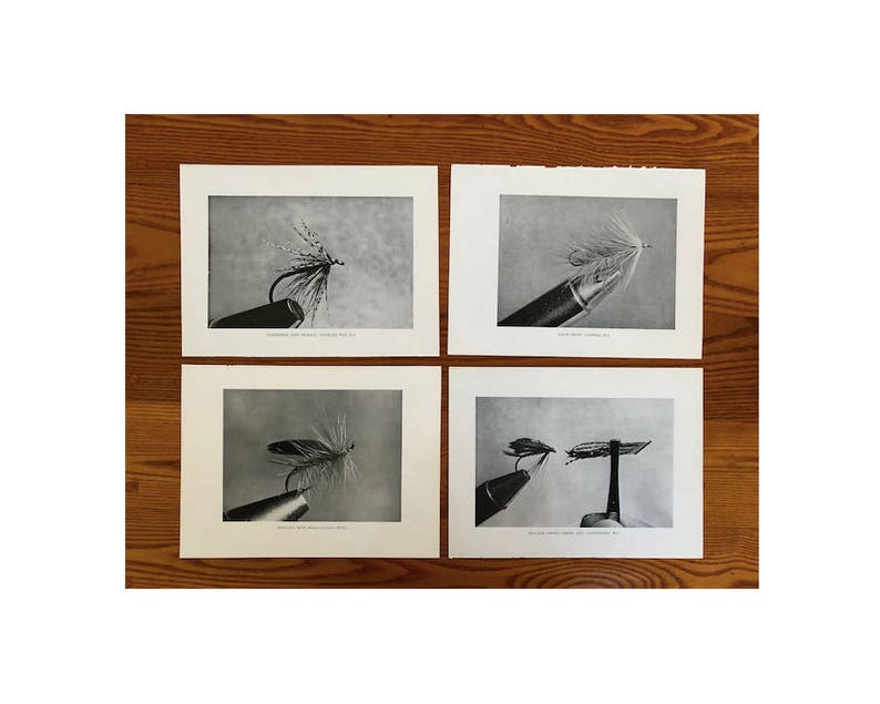 May include: Four black and white photographs of fly fishing flies. The flies are tied on hooks and are shown in various stages of completion. The photographs are labeled with the names of the flies.