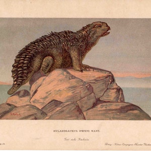 c. 1902 HYLAROSAURUS lithograph • original antique print - fossil reptiles - extinct animal print - prehistoric animal • dinosaur print