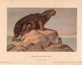 H. 1902 HYLAROSAURUS Lithographie • original antiker Druck • Fossile Reptilien • Dinosaurier Druck • Fossile Reptilien • Ausgestorbene Tiere • Tierdruck • Dinosaurier