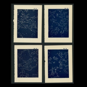 c. 1948 CONSTELACIÓN litografías • conjunto de 4 grabados originales de época • grabados astronómicos • mapas de estrellas celestes • figuras mitológicas