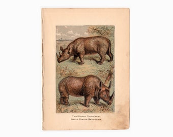 tiny! c. 1887 RHINOCEROS lithograph • original antique print • small antique animal print • zoology landscape • nature scene • rhino print