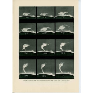 c. 1959 SOLAR PROMINENCE s lithograph  • in eruption • original vintage astronomy print