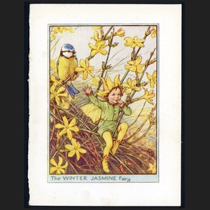 c. 1935 JASMINE FLOWER FAIRY lithograph • original vintage print • botanical print • flower garden print • yellow flower fairies print •