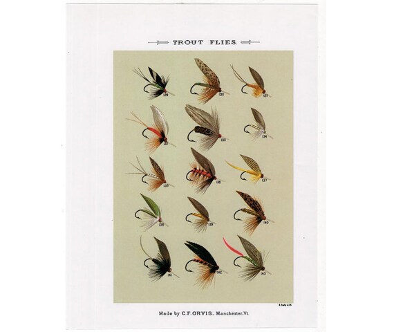 C. 1988 TROUT FLIES Lithograph Original Vintage Print Fly Fishing Print  Orvis Print Fly Tying Print With Trout Flies on Reverse 