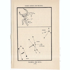 ca. 1944 Stier - CONSTELLATION FIGURE Druck - original Vintage Astronomie Druck - Sternkarte - himmlische Lithographie - der Stier