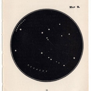 c. Étoiles PÉGASUS de 1903 • mini-figurines de constellations • gravure ancienne originale/estampe d'astronomie céleste en noir • le cheval qui vole