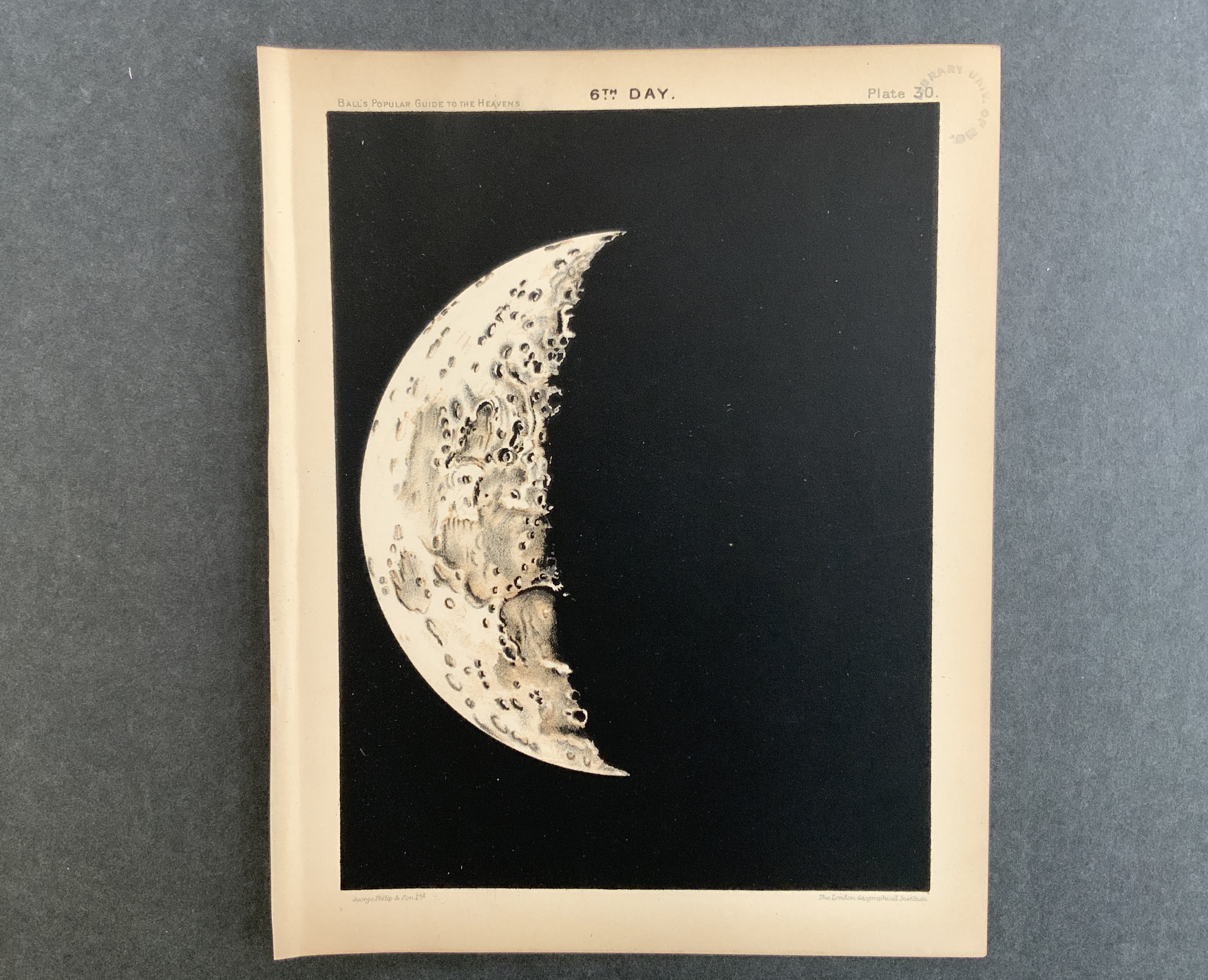 『赫月 moon』 One Hundred Aspects of the Moon: Shujaku Gate Moon - Hakuga