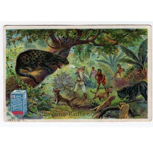 1960 erschwarze JAGUAR HUNTING Lithographie - original Vintage Druck - Miniatur deutsche Werbekarte - Südamerika Dschungel-Szene