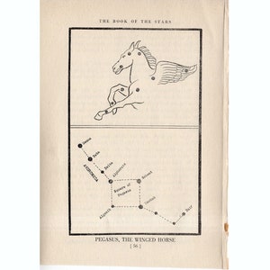 c. 1944 Pegasus - STERNBILD FIGUR PRINT - Original Vintage Astronomie Druck - Sternenkarte - Himmlische Lithographie - das geflügelte Pferd