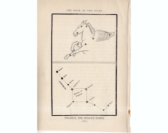 c. 1944 Pegasus - CONSTELLATION FIGURE PRINT - original vintage astronomy print - star map - celestial lithograph - the Winged Horse