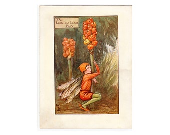 c. 1935 CUCKOOPINT FLOWER FAIRY lithograph • original vintage print • botanical print • flower garden print • lords and ladies flowers