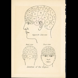 c. 1926 PHRENOLOGY CHART Lithographie - Original Antiker Druck - menschliche Natur Emotionspsychologie des Menschen - Charakterstudie selten!