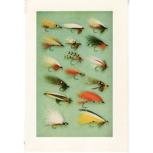 c. 1966 FLY FISHING lithograph - fly tying print - original vintage prints- fresh water angling - trout salmon bass - print for angler