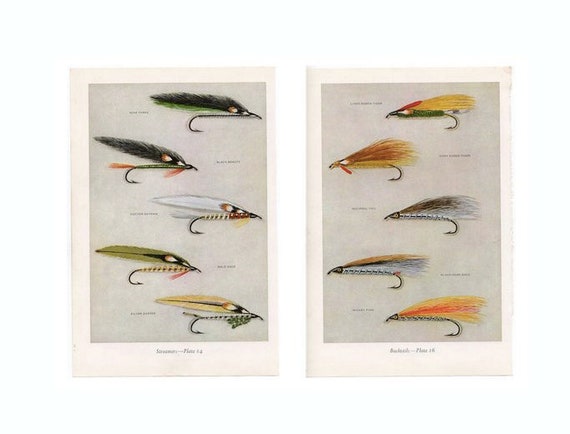 C. 1963 STREAMERS & BUCKTAILS Fly Fishing Lithographs Vintage Prints Fresh  Water Angling Trout Salmon Bass Fly Tying Set of 2 