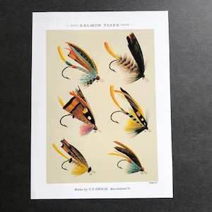 May include: A vintage illustration of six salmon flies, each with different colored feathers and materials. The flies are labeled with numbers 20, 21, 22, 23, 27, and 29. The image is titled "SALMON FLIES" and is made by C.T. ORVIS, Manchester, VT.