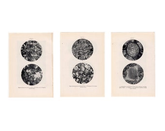 c. 1934 METEORIC STONE PRINTS - vintage lithographs - microstructure of meteoric stones - shooting star & falling star debris - set of 3