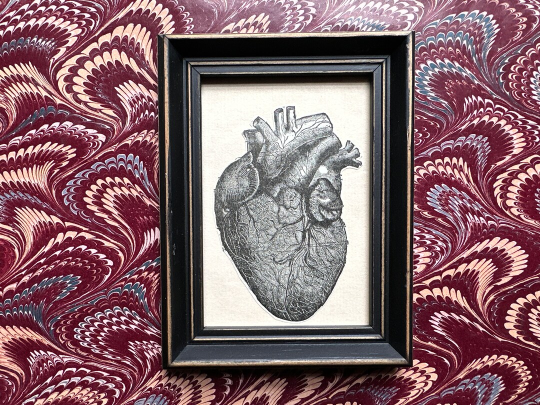 C. 1901 FRAMED HEART Lithograph • Original Antique Print • Human ...
