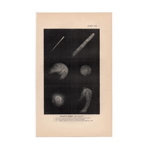 c. 1868 HALLEY&#39;S COMET print • original antique print • astronomy print • celestial print • comet head print • comet tail • Famous comets •