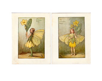 c. 1935 FLOWER FAIRY lithographs • set of 2 original vintage prints • botanical print • flower garden print • primrose & celandine flowers