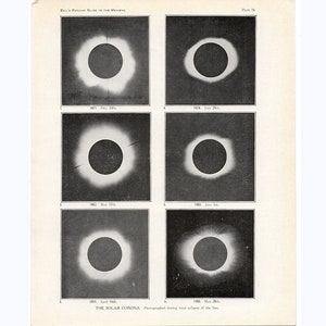 c. 1910 SOLAR ECLIPSE lithograph • original antique print • astronomy print • celestial print •  solar corona print • sun print