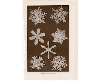 c. 1911 SNOW CRYSTALS print original antique winter weather lithograph - snow flakes