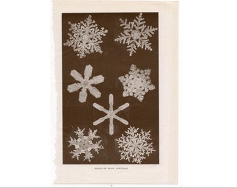 c. 1911 SNOW CRYSTALS imprimir original antigua litografía meteorológica invernal - copos de nieve