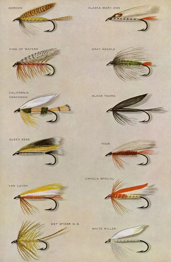 C. 1963 WET FLIES Fly Fishing Lithograph Original Vintage Print Fresh Water  Fishing Angling Trout Salmon Bass Bait Fly Tying -  Canada