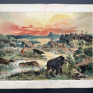 c.1878 LARGE PREHISTORIC LANDSCAPE • original antique print • dinosaur print • Duria Antiquior • Paleoart • Tertiary Period animals Europe
