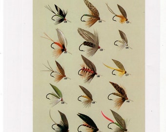 C. 1988 TROUT FLIES Lithograph Original Vintage Print Fly Fishing Print  Orvis Print Fly Tying Print With Trout Flies on Reverse -  Canada