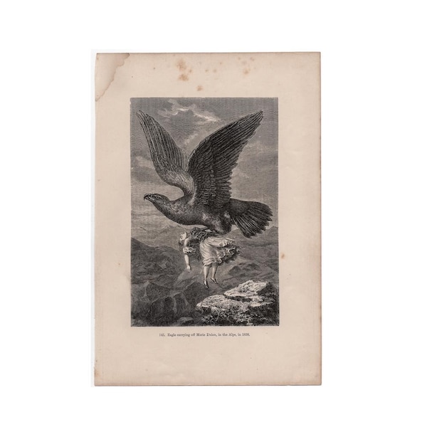 ÁGUILA SECUESTRANDO A UN NIÑO, litografía c. 1877 • Grabado antiguo original • Águila de Marie Delex •