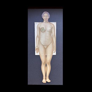 c.1902 FEMALE ANATOMY lithograph • original antique print • human anatomy & physiology • medical illustration • anatomy chart • interactive!