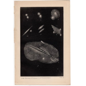 C. 1888 ANTIKER DOPPEL-NEBEL Druck • antiker Original Druck • Nebel und Sterne • Himmelskörper